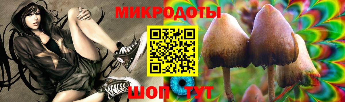 где можно купить наркотик  Псилоцибиновые грибы ЛСД  Вход с VPN  Пермь 
